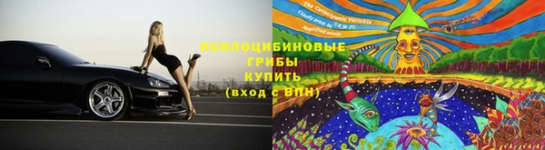 круглые Козельск