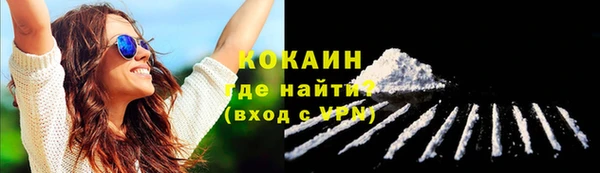 амф Козловка