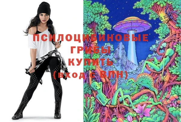ешки Кодинск