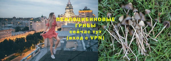 круглые Козельск